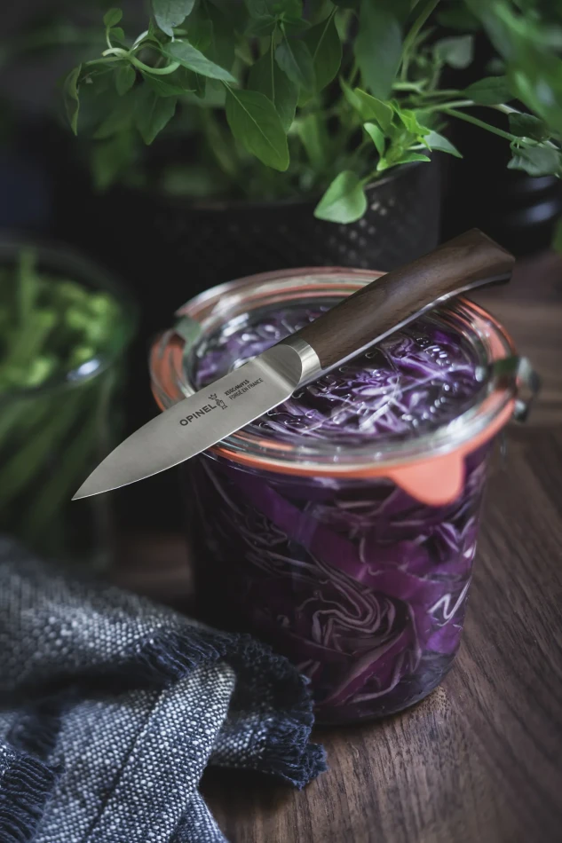 Opinel Paring Knife Les Forges 1890