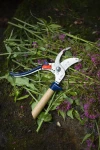 Opinel Hand Pruner
