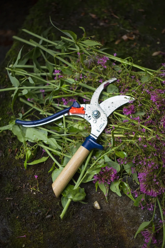Opinel Hand Pruner