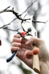 Opinel Hand Pruner