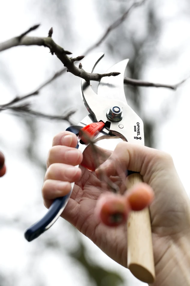 Opinel Hand Pruner