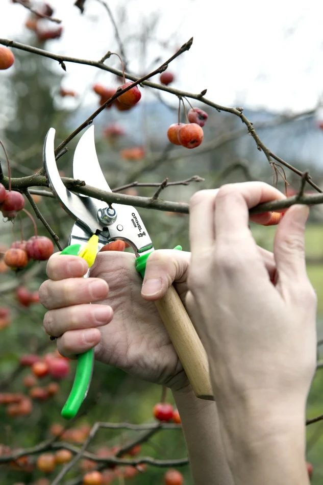 Opinel Hand Pruner