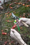 Opinel Hand Pruner