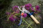 Opinel Hand Pruner