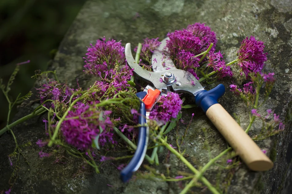Opinel Hand Pruner