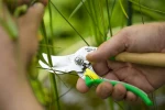 Opinel Hand Pruner