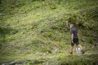 Northward Shorts, kolor: 378 - Bark Green