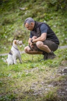 Northward Shorts, kolor: 378 - Bark Green