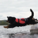 Crewsaver Pet Float