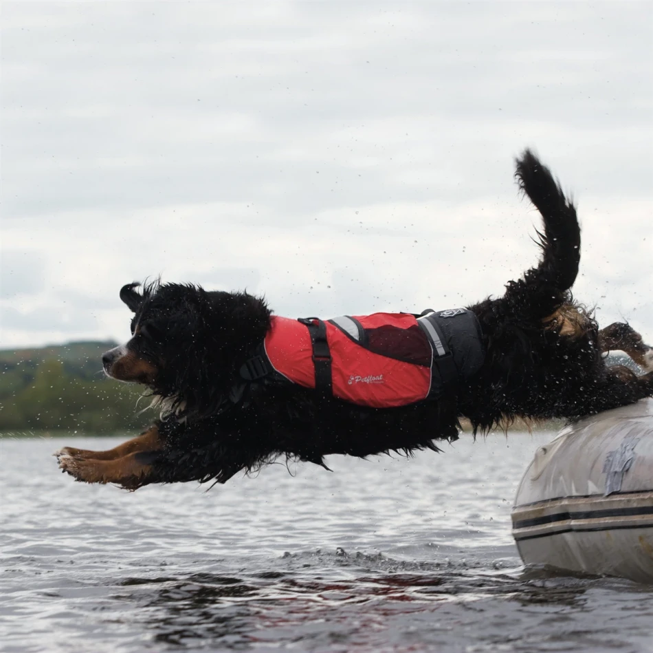 Crewsaver Pet Float
