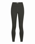 Wms Bugstopper Legging, kolor: 1034 - Basalt