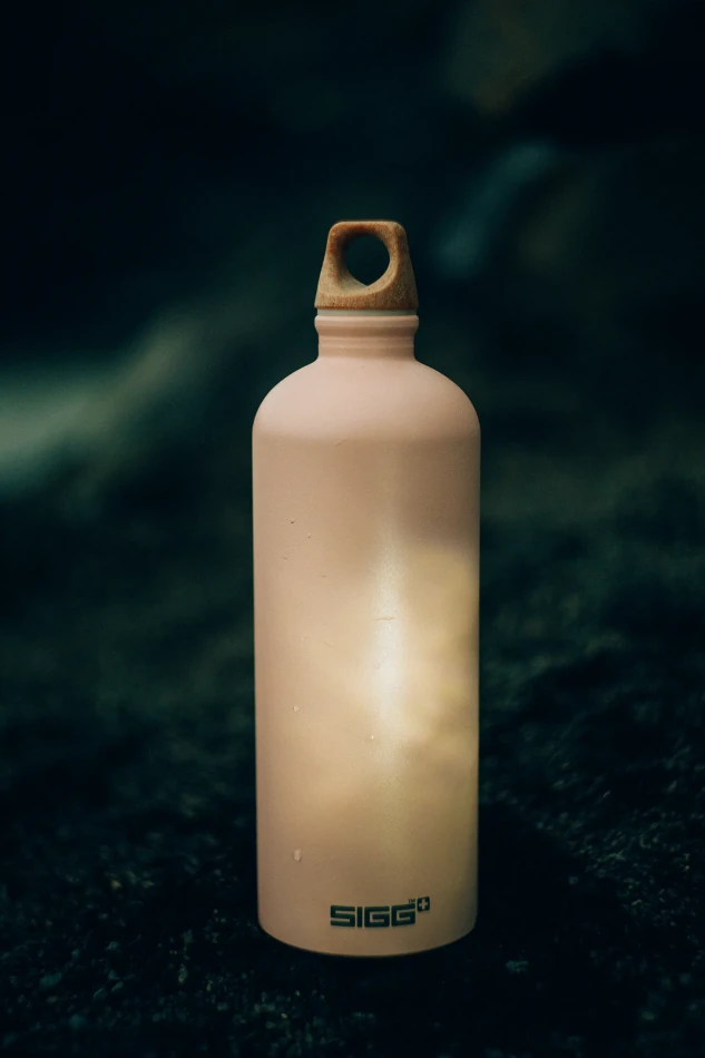 SIGG Traveller MyPlanet 1 L
