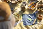 Opinel Nomad Picnic Plus