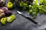 Opinel Slim Ebony No.10