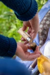 Opinel Corkscrew Bottle Opener No.10