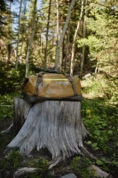 Eagle Creek Migrate Duffel 60L