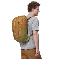 Black Hole Pack 25L, kolor: Pufferfish Gold