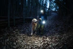 Ledlenser Kidled 4R