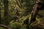 Harkila Deer Stalker Camo HWS Jacket Women