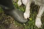 Seeland Hillside Flex Boot, kolor: Pine Green