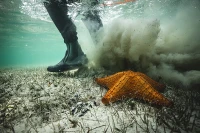 Simms_ Zipit_Bootie_1.webp