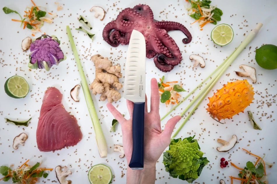 Opinel Chef Intempora No. 218