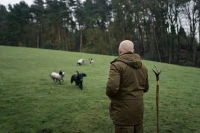 Seeland Key-Point Elements Jacket