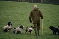 Seeland Key-Point Elements Jacket